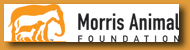 Morris